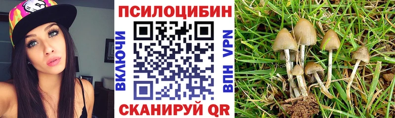 где купить наркоту  Ужур  Псилоцибиновые грибы ЛСД 